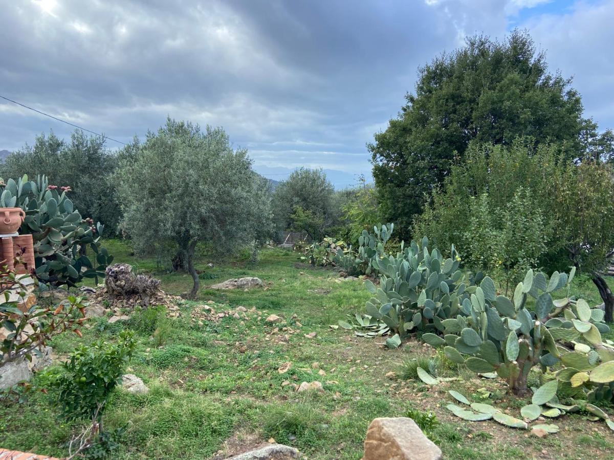 Villa Al Presti, Vacanze In Pieno Relax Cefalú Exterior foto