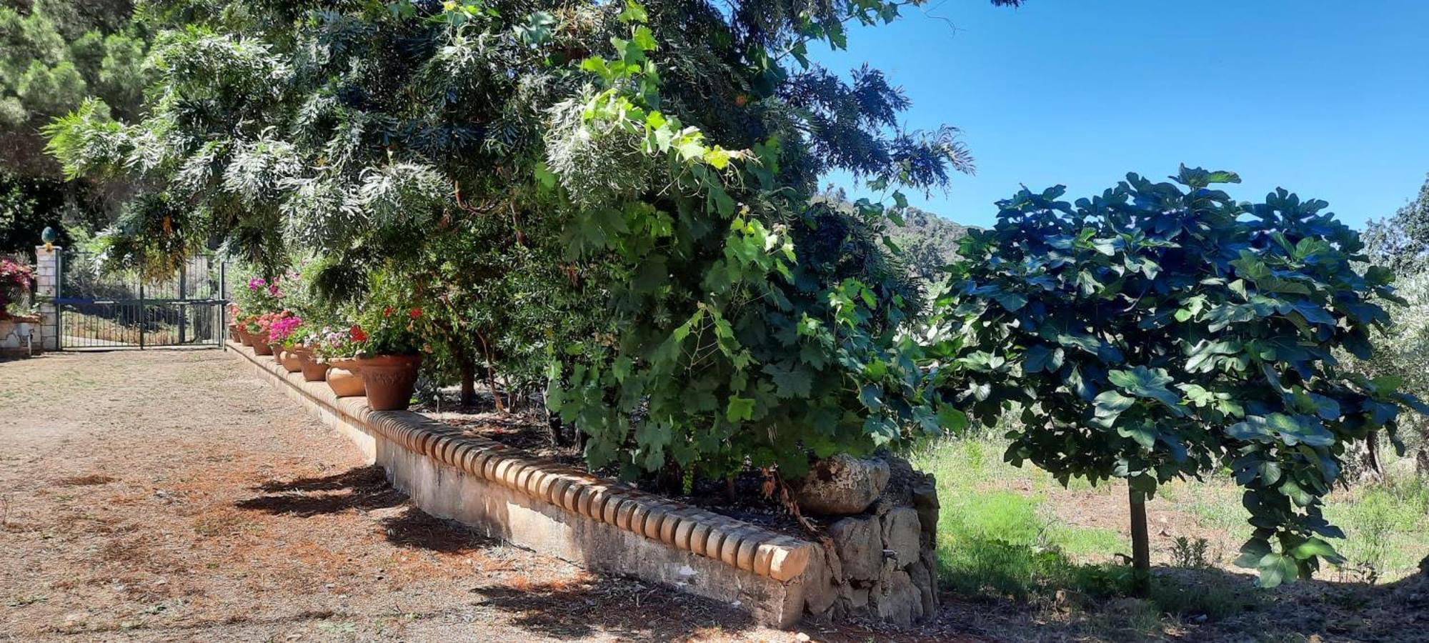 Villa Al Presti, Vacanze In Pieno Relax Cefalú Exterior foto